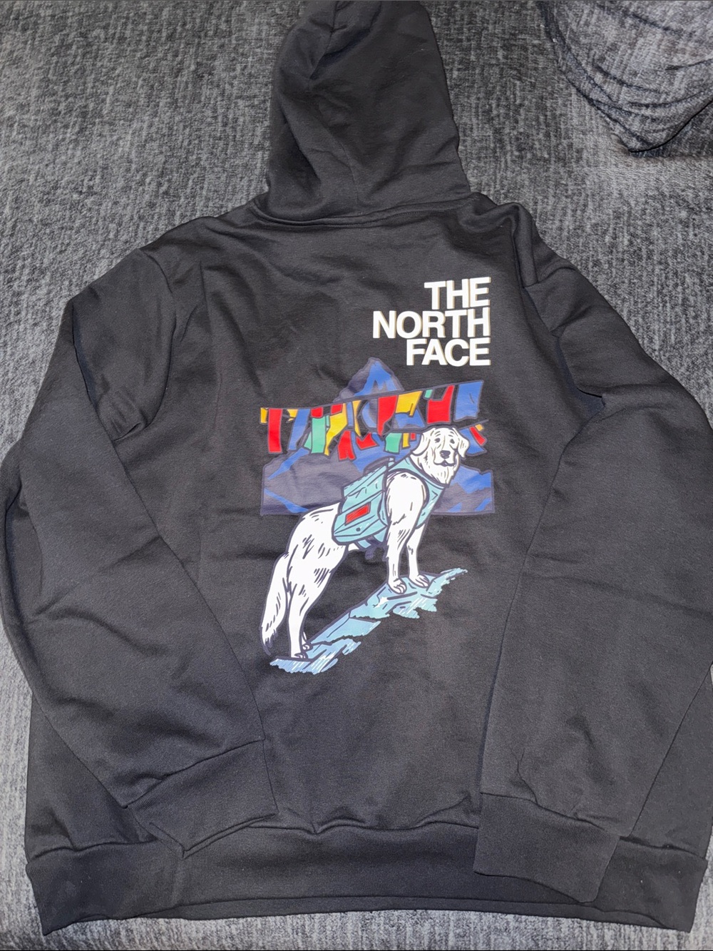 Men’s NORTH FACE LOGO HOODIE🔥🔥Brand NEW!!!